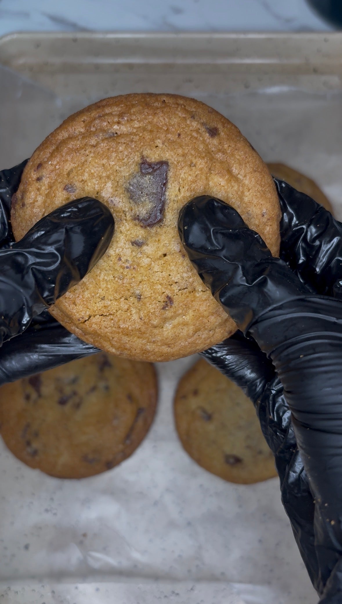 Chocolate Chunk Cookie