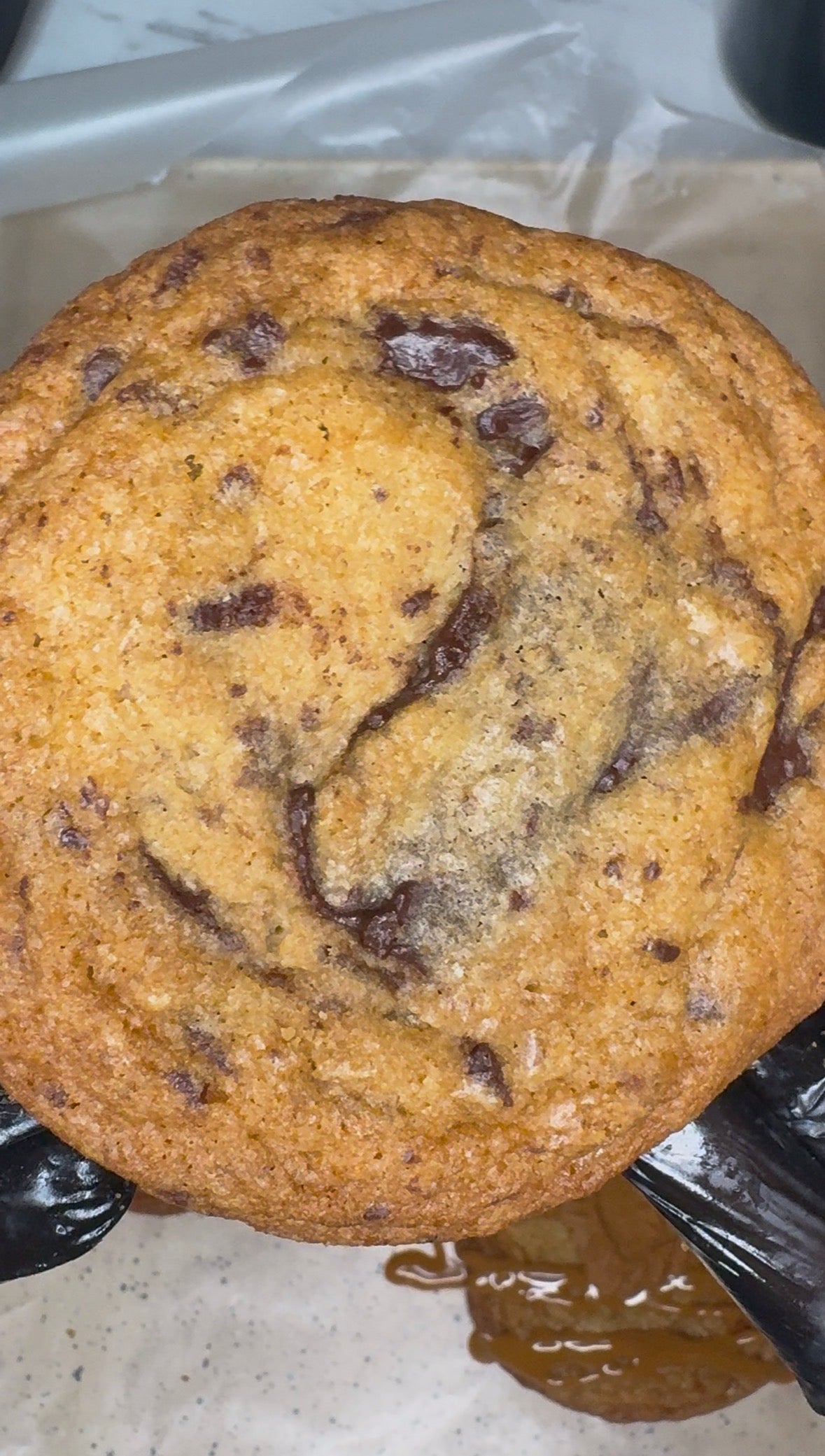 Chocolate Chunk Cookie